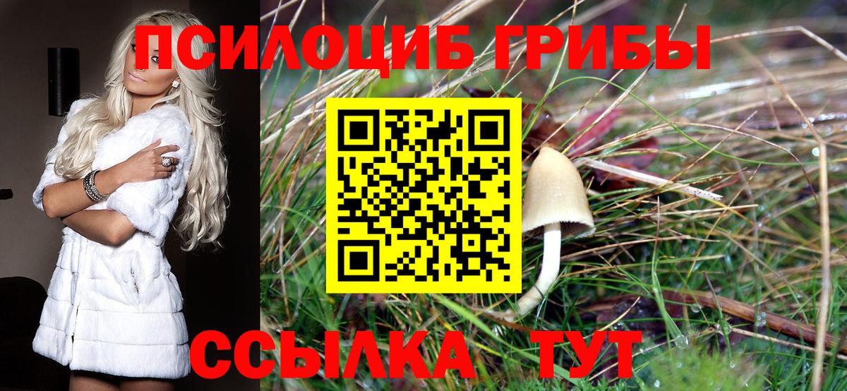 купить наркотик  Вход с VPN  Арсеньев  Псилоцибиновые грибы прущие грибы 