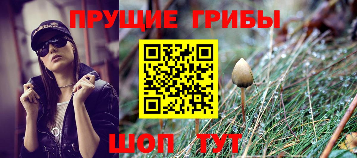 Галлюциногенные грибы GOLDEN TEACHER Арсеньев